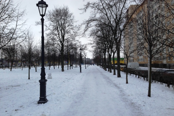 Бульвар на Прибрежной улице в Невском районе получил новое энергоэффективное освещение 