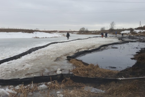 Итоги работы городских экологических служб за 2019 год