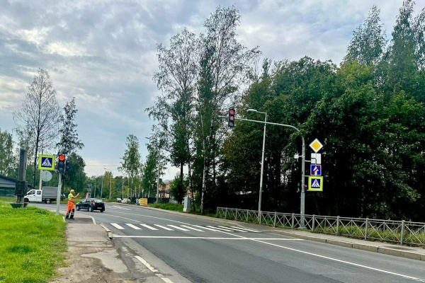 В четырех районах Петербурга подключены новые светофорные объекты