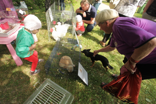День Рождения Калининского района
