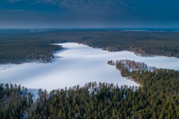 Юбилей заказника «Озеро Щучье»