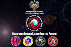 Санкт‑Петербург примет чемпионат и первенство СЗФО по Восточному боевому единоборству
