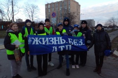 Фрунзенский район присоединился к акции, приуроченной ко Дню памяти жертв ДТП