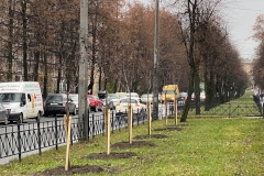 В Невском районе продолжаются работы в рамках месячника по благоустройству