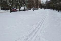 Лыжные трассы и катки в Кировском районе