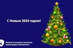 С Новым 2024 годом!