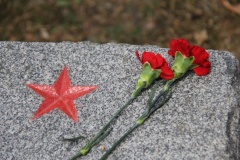 В День памяти и скорби в Курортном районе пройдут церемонии возложения цветов