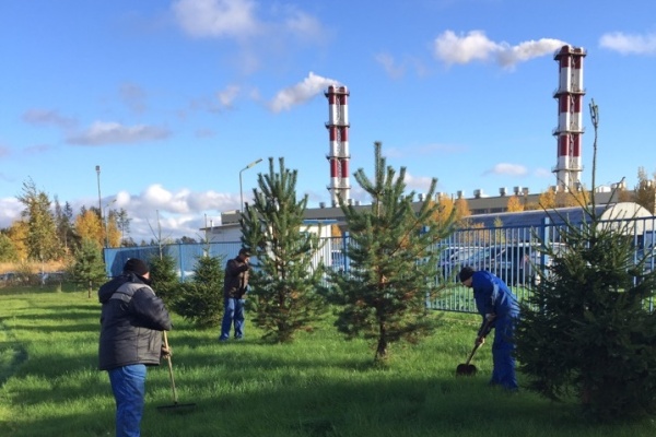 Предприятия района участвуют в генеральной осенней уборке