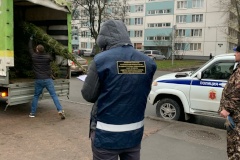 Еще 3 незаконных точки по торговле елками ликвидировали во Фрунзенском районе