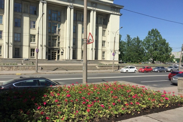 Цветочное оформление в Невском районе
