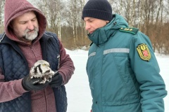 Всемирный день дикой природы отметили выпуском ястребиной совы