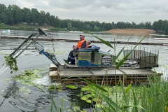 Водные объекты Выборгского района очистили от водной растительности