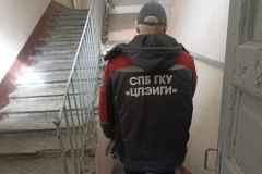 В двенадцати районах города освобождены незаконно используемые объекты нежилого фонда, находящиеся в собственности Санкт‑Петербурга