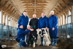 Петербургские ученые впервые получили теленка с заданными генетическими характеристиками методом ЭКО