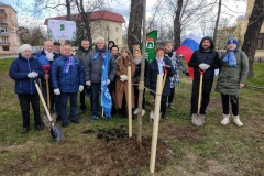 Кировский район присоединился к ежегодной международной акции "Сад памяти"