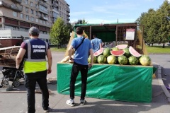 410 задержаний за полгода: как народные дружины Петербурга помогают полиции