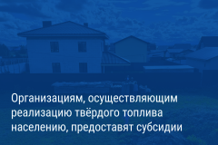 Александр Беглов подписал постановление о городских субсидиях поставщикам твёрдого топлива за его реализацию петербуржцам по льготной стоимости