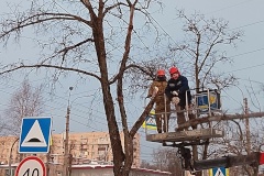 Во Фрунзенском районе проводятся работы по удалению аварийных деревьев