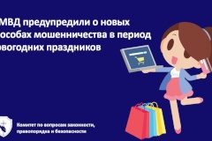 В МВД предупредили о новых способах мошенничества в период новогодних праздников