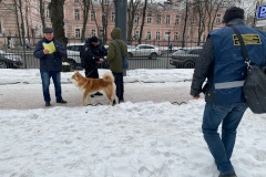 На территории Таврического сада и Воскресенского сквера были выявлены нарушения правил выгула собак