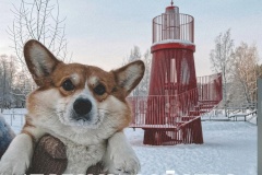 Пятый год подряд Красногвардейский занимает лидирующую позицию в сфере «Благоустройство»