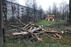 На территории Центра содействия семейному воспитанию №11 в Московском районе произведена санитарная рубка сухих и больных деревьев