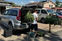 В Петродворцовом районе продолжаются рейды по пресечению несанкционированной торговли