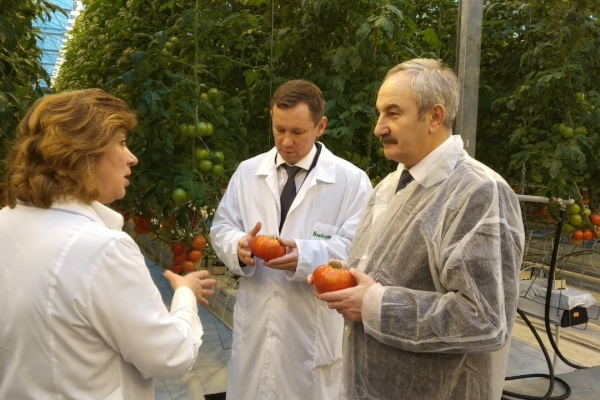 Пресс-тур на производство овощей и бахчевых под знаком  «Петербургская марка качества»