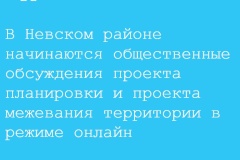 Начинаются общественные обсуждения проекта планировки и проекта межевания территории в Невском районе в режиме онлайн
