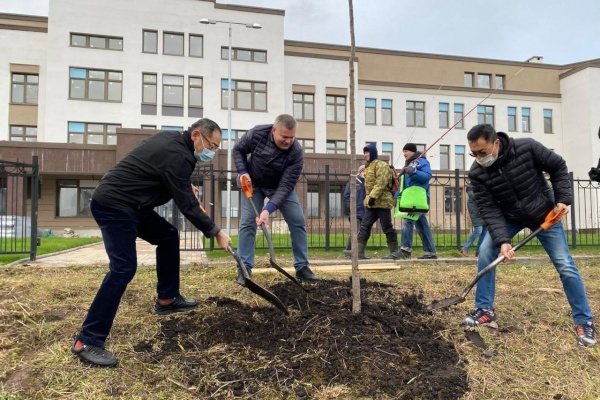 В «Балтийской жемчужине» появятся миниатюрные яблоневые сады