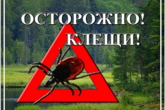 Кировский район готовится к сезону клещей