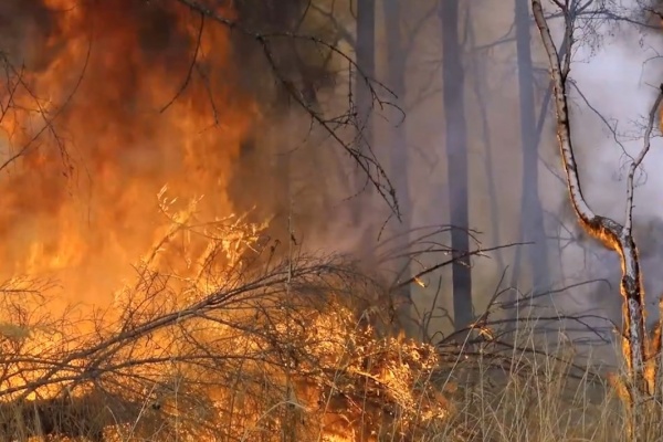 Не поджигай траву (30 сек.)