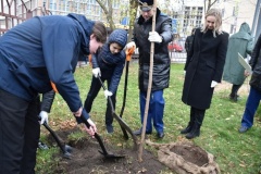 Школьники Центрального района и представители Северо-Западной транспортной прокуратуры высадили клены