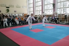 Открытый фестиваль и кубок по тхэквондо прошел во Фрунзенском районе