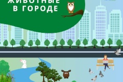 Дикиe животные в городе