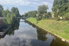 Меры по устранению борщевика