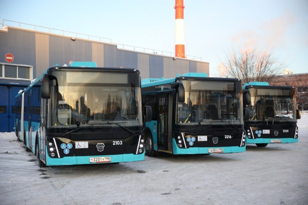 На маршруты Петербурга выходят более 100 новых автобусов