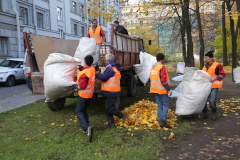 В Московском районе продолжается осенний месячник благоустройства