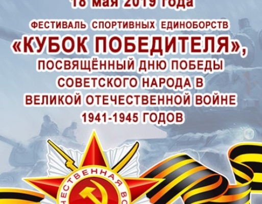 В Кировском районе состоится Фестиваль спортивных единоборств «Кубок победителя»