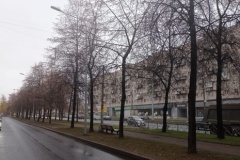Участок от пр. Непокоренных до ул. Верности получит современную систему освещения