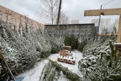 От незаконных ёлочных базаров освобождено более 100 кв. м городской земли