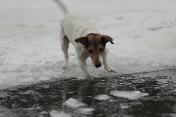 Выход на лед опасен