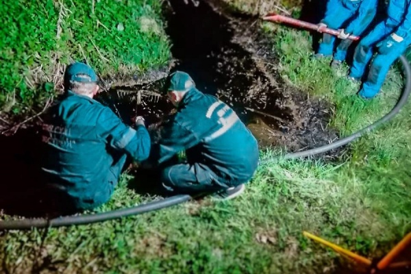 Более 10 тонн опасных отходов собрали экологи за неделю