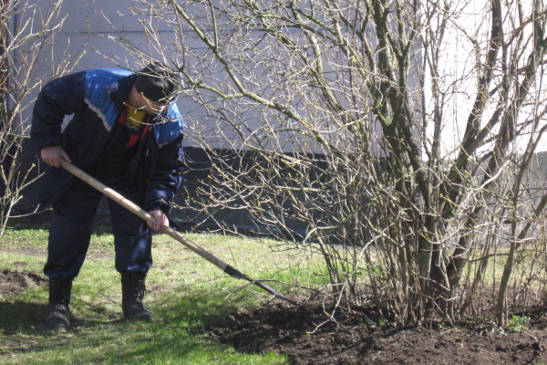 Фотоотчет о ходе выполнения работ в период весеннего месячника по благоустройству по Кронштадтскому району Санкт‑Петербурга   по состоянию на 18 апреля 2016 г.