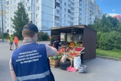 Работа по борьбе с незаконной уличной торговлей проводится Комитетом по контролю за имуществом Санкт‑Петербурга на постоянной основе