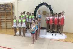 Победа гимнасток Центрального района на международном турнире «Пируэт»!