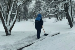 Приморский парк Победы восстанавливают после зимних снегопадов