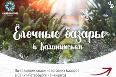 Ёлочные базары в Калининском районе