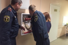 Сотрудники отдела надзорной деятельности и профилактической работы Фрунзенского района в период новогодних и рождественских праздников проводят профилактические мероприятия