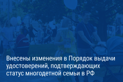 Александр Беглов: Внесены изменения в порядок выдачи удостоверений многодетной семьи